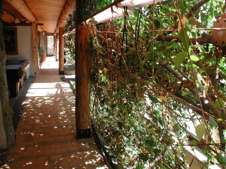 htmgarden Sloped glass is the only natural way to grow crops in the winter since vertical glass dramatically limits solar gain