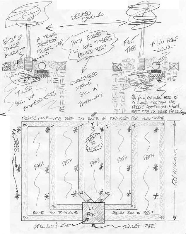 Sample greywater recycling system perforated pipe planting layout sketch with distribution box and venting details.