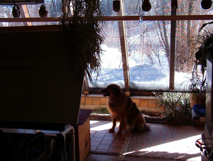 View out office windows through 70 percent black knit, hung vertically like drapes, on a sunny day